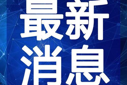 吉林二手房爆料视频最新,价格波动与交易真相大揭秘